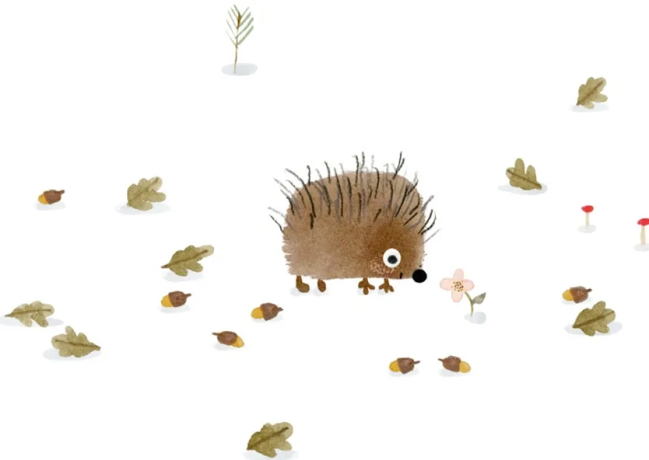 Cottontails Baby Cards*Postcard & Envelope - Little Hedgehog