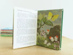 Cottontails Baby Vintage*VINTAGE Ladybird book - Butterflies. Moths and Other Insects (1974/5)