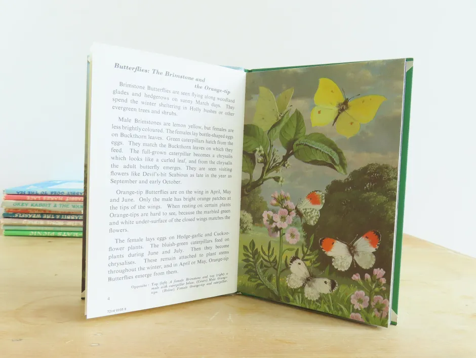 Cottontails Baby Vintage*VINTAGE Ladybird book - Butterflies. Moths and Other Insects (1974/5)