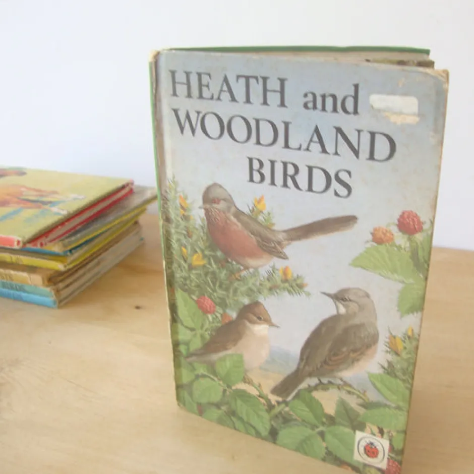 Cottontails Baby Vintage*VINTAGE Ladybird book - Heath & Woodland Birds (mid 1970s)