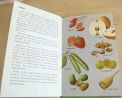 Cottontails Baby Vintage*VINTAGE Ladybird book - Plants and how they Grow (c. 1971)