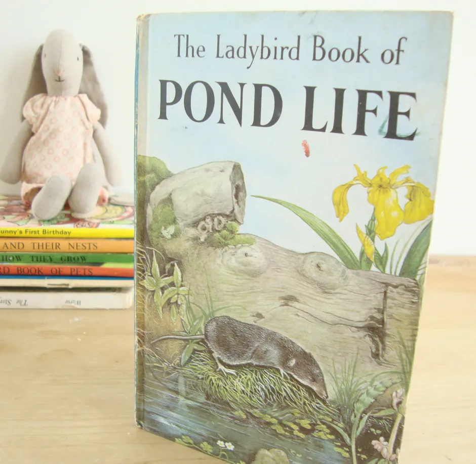 Cottontails Baby Vintage*VINTAGE Ladybird book - Pond Life (1966)