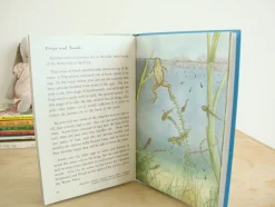 Cottontails Baby Vintage*VINTAGE Ladybird book - Pond Life (1966)