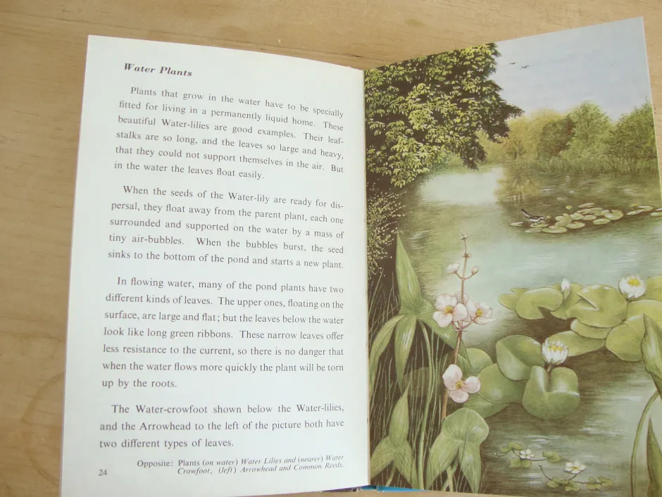 Cottontails Baby Vintage*VINTAGE Ladybird book - Pond Life (1966)