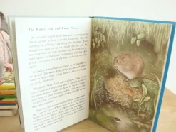 Cottontails Baby Vintage*VINTAGE Ladybird book - Pond Life (1966)