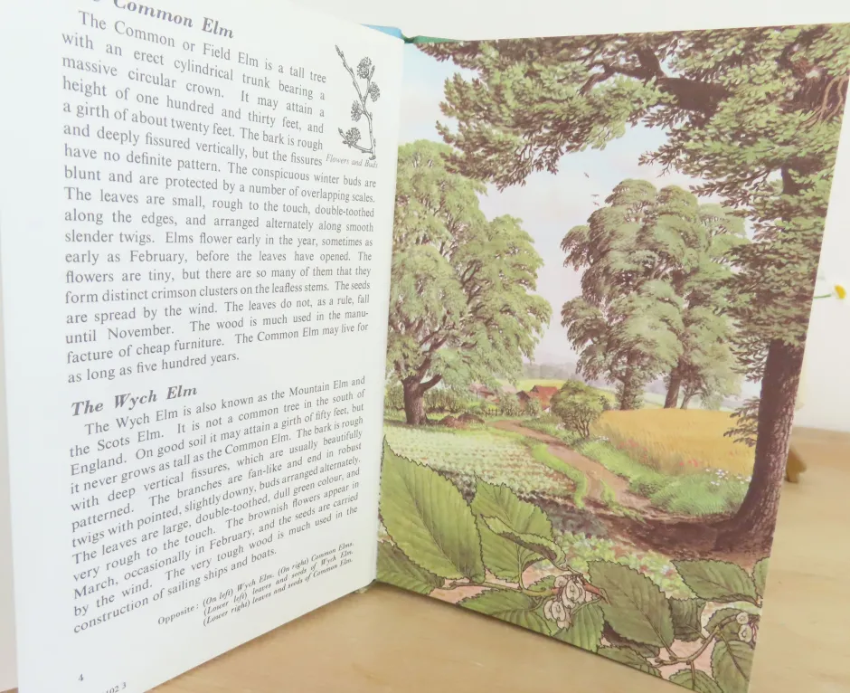 Cottontails Baby Vintage*VINTAGE Ladybird book - Trees (1970s)