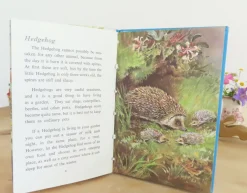 Cottontails Baby Vintage*VINTAGE Ladybird book - British Wild Animals (1971)