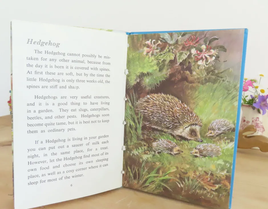 Cottontails Baby Vintage*VINTAGE Ladybird book - British Wild Animals (1971)