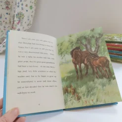 Cottontails Baby Vintage*VINTAGE Ladybird book - The Discontented Pony (late 1970s)