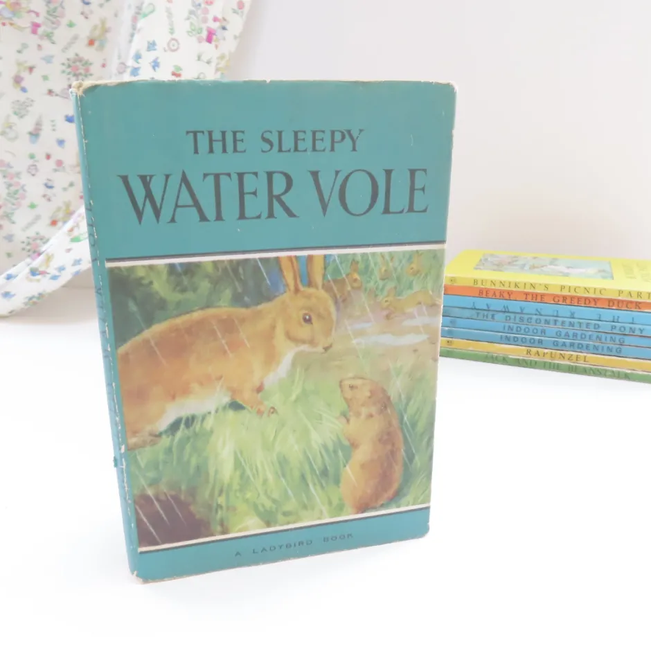 Cottontails Baby Vintage*VINTAGE Ladybird book - The Sleepy Water Vole with DJ (late 1950s)