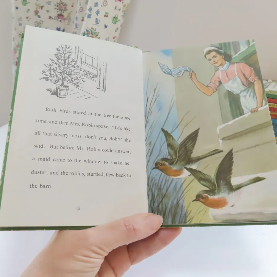Cottontails Baby Vintage*VINTAGE Ladybird book - The Wise Robin (c.1970)