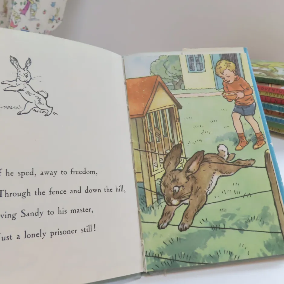 Cottontails Baby Vintage*VINTAGE Ladybird book - The Runaway with DJ (late 1950s)