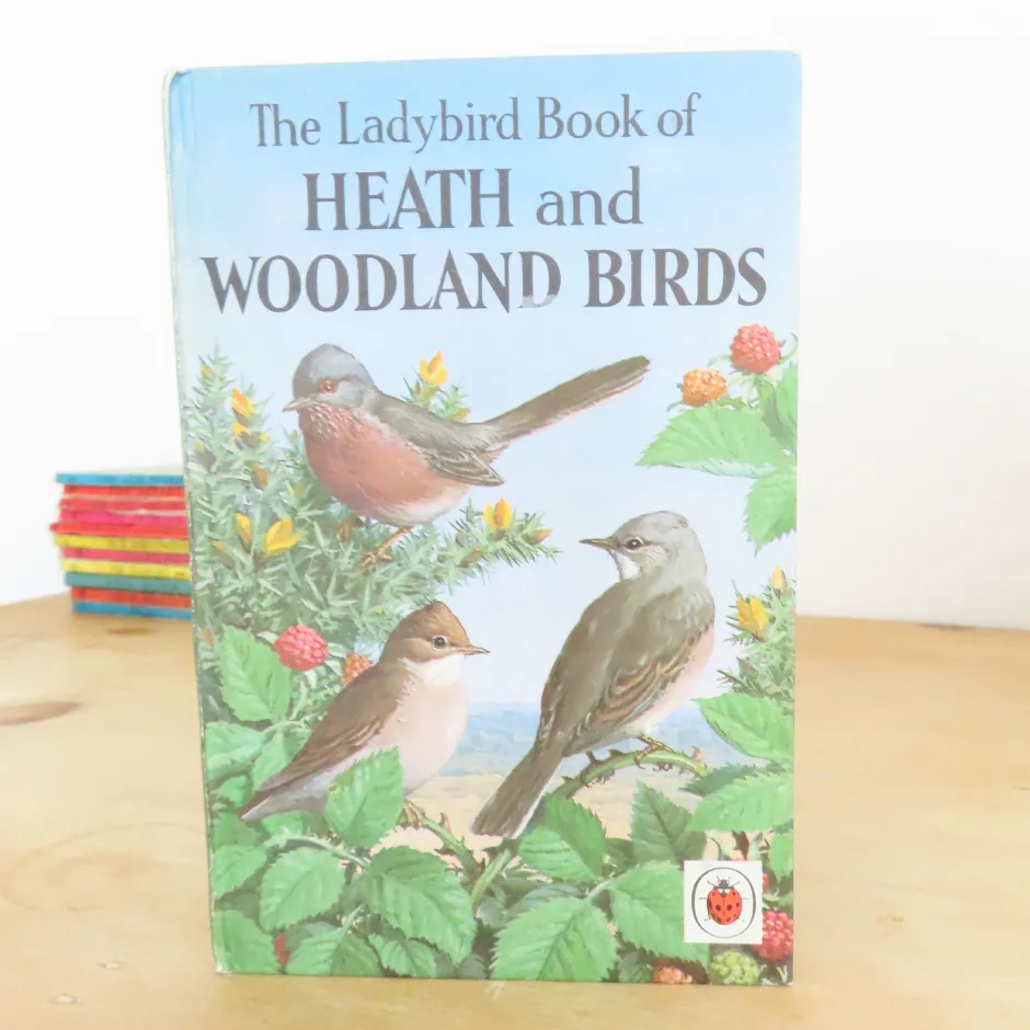 Cottontails Baby Vintage*VINTAGE Ladybird book of Heath and Woodland Birds (1971)