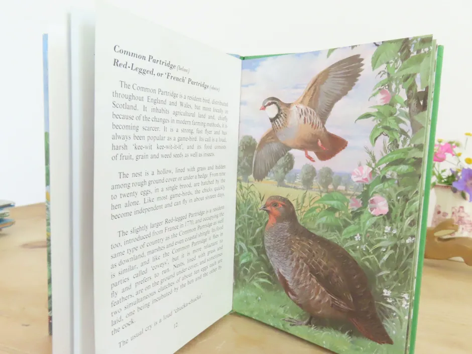 Cottontails Baby Vintage*VINTAGE Ladybird book of Heath and Woodland Birds (1971)